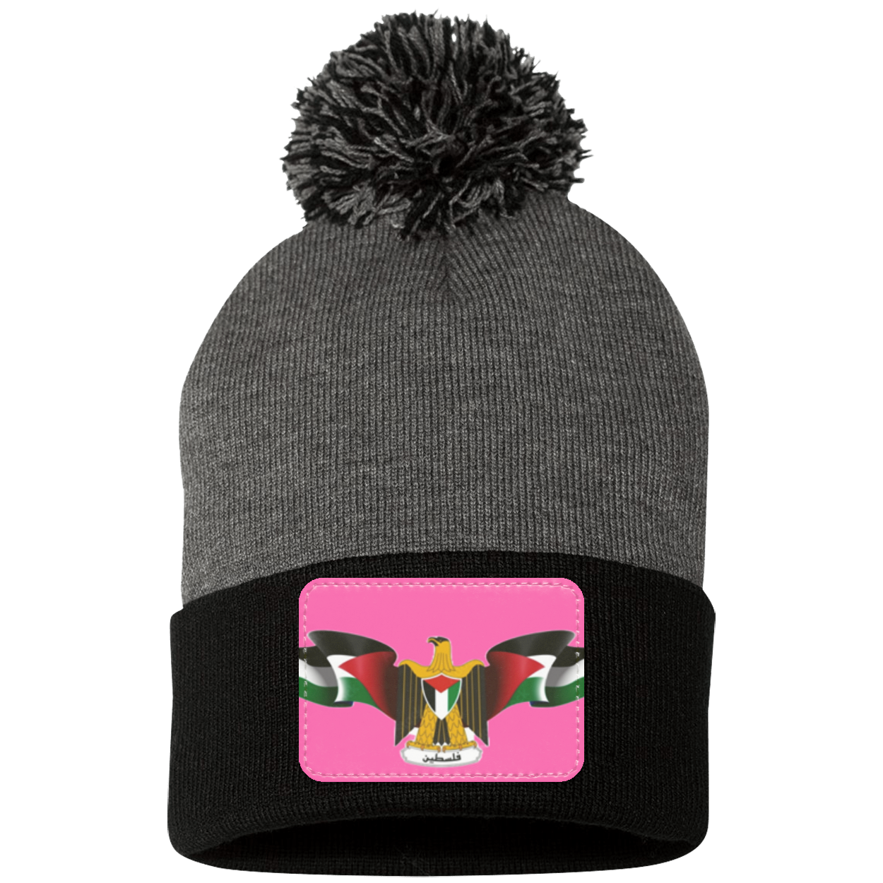 Palestine  Statement Beanie