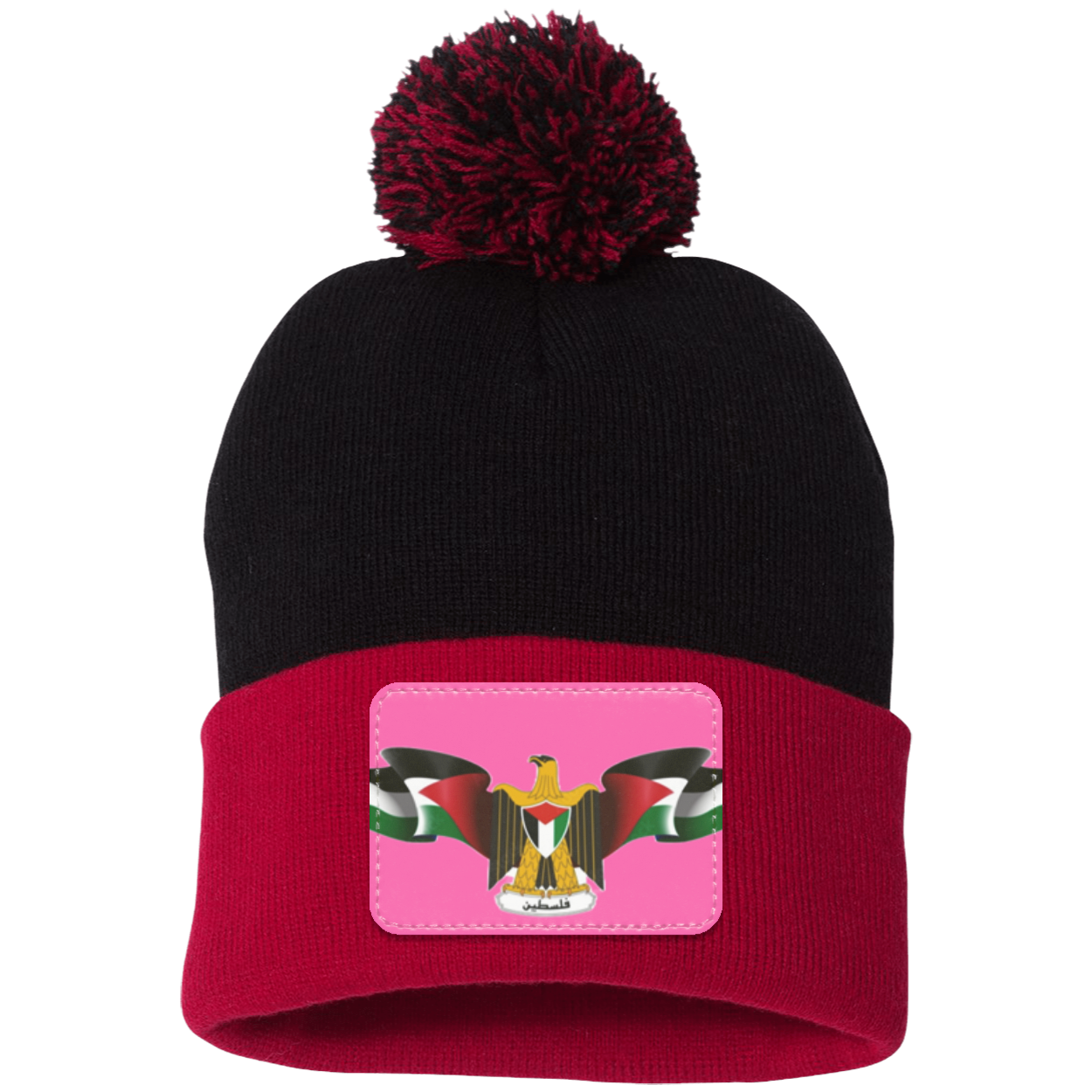 Palestine  Statement Beanie