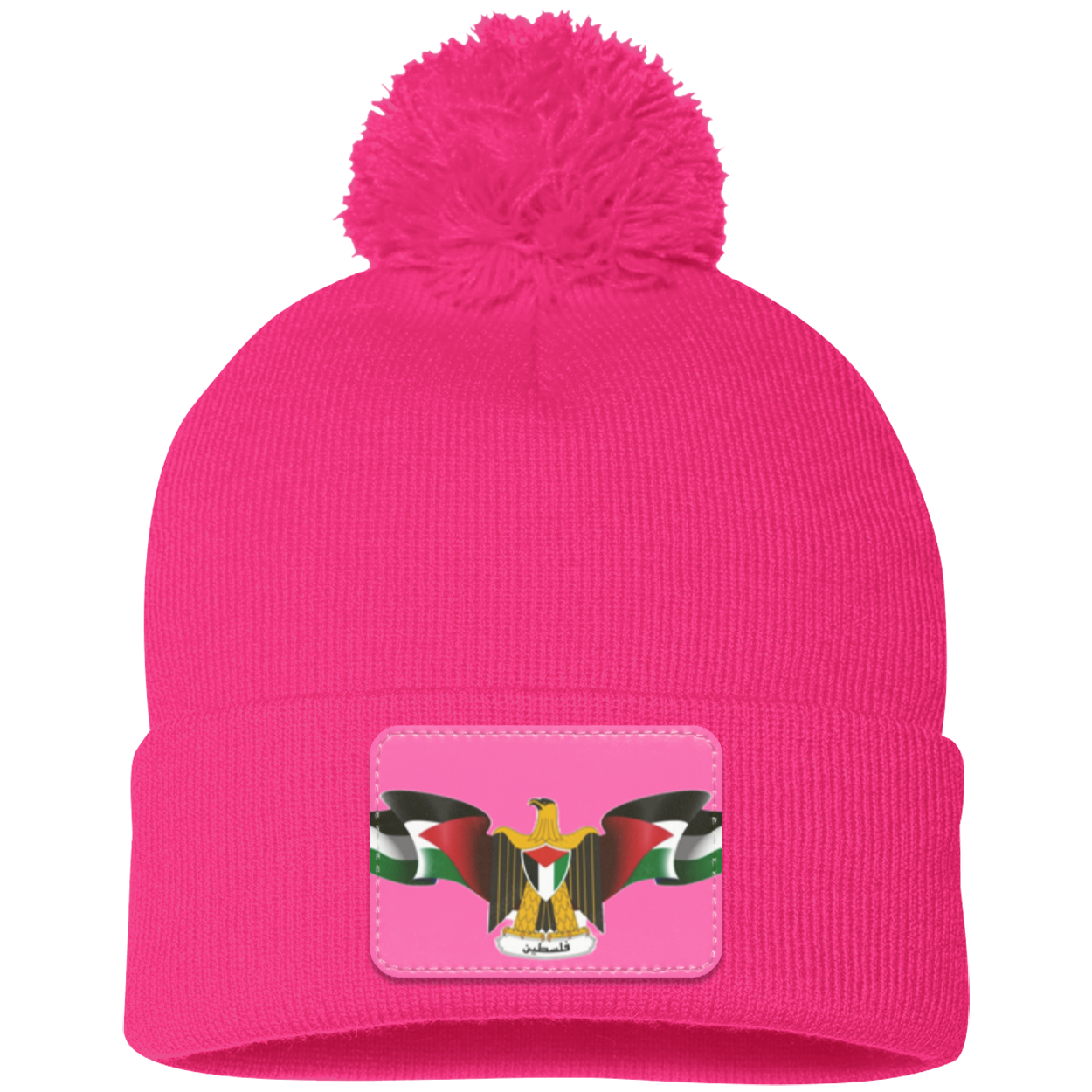 Palestine  Statement Beanie